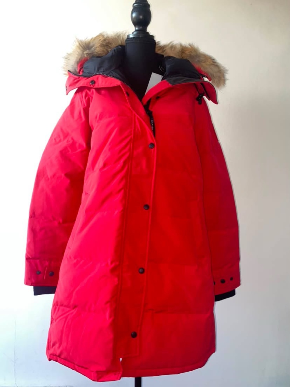 Brand New Canada Goose Shelburn with real fur in S (Navy) and L (Red)